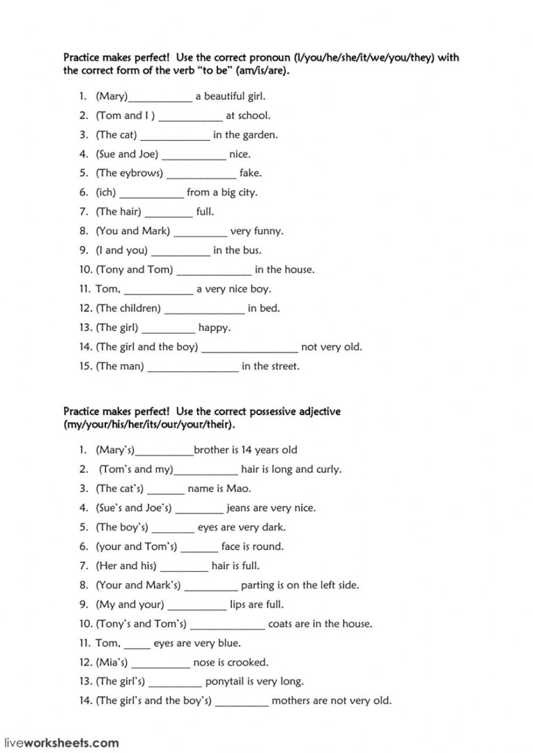 Spanish Possessive Adjectives Practice Worksheets Adjectiveworksheets Net