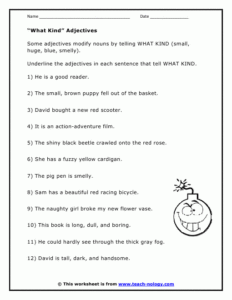 Adjectives That Tell What Kind And How Many Worksheets