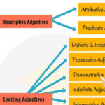 11 Types Of Adjectives Used In English with Examples 7ESL