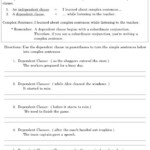 16 Shurley Grammar Worksheets Worksheeto