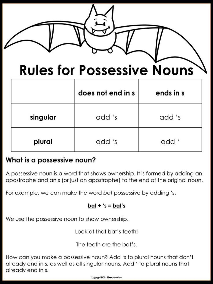 2 Plural Possessive Worksheets 4th Grade Teaching Possessive Nouns In 