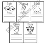 Adjective Five Senses Worksheets WorksheetsCity