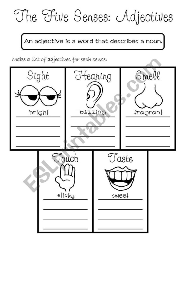 Adjective Five Senses Worksheets WorksheetsCity