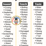 Adjective List Touch Sound And Taste Lessons For English