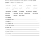 Adjective Placement In French Online Worksheet For Grade 6 You Can Do