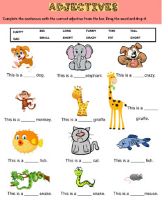 Adjective Worksheet For 2nd Graders - Adjectiveworksheets.net