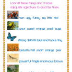 Adjectives And Nouns Interactive Worksheet