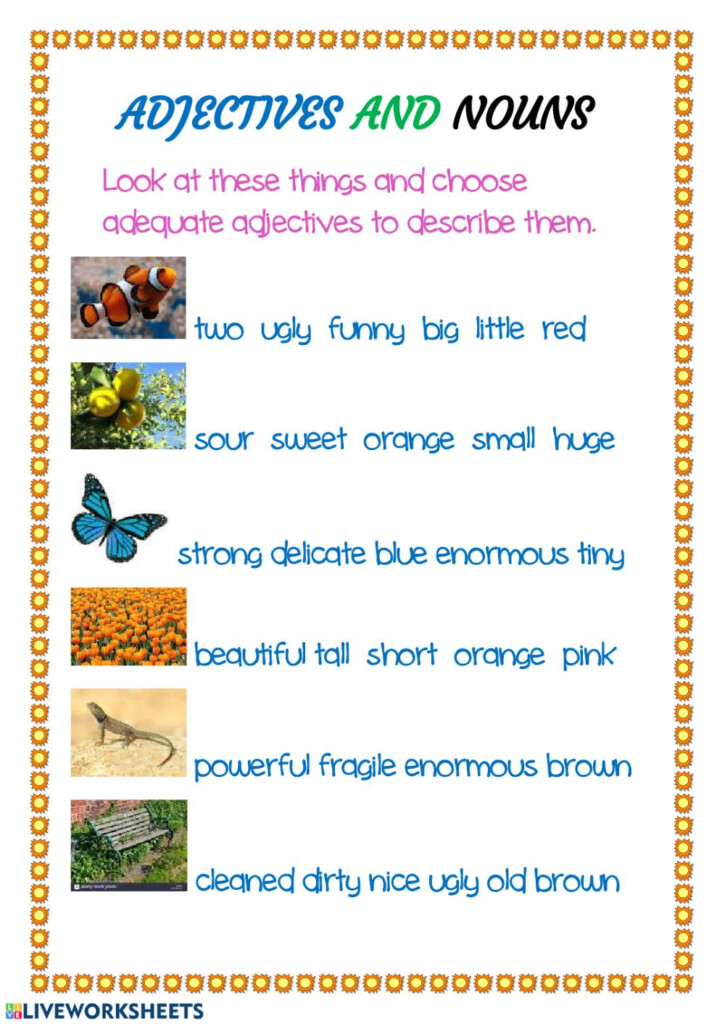 Adjectives And Nouns Interactive Worksheet