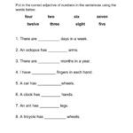 Adjectives Of Number Worksheet
