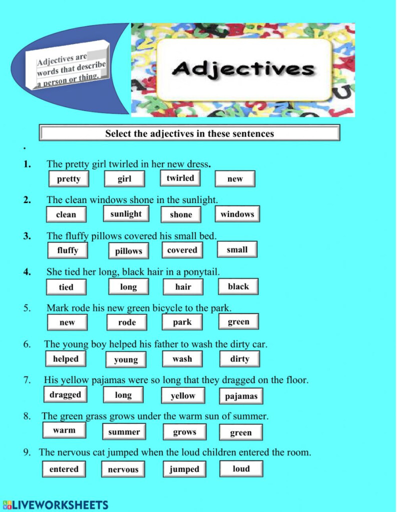 Adjectives Online Pdf Activity For Grade 3