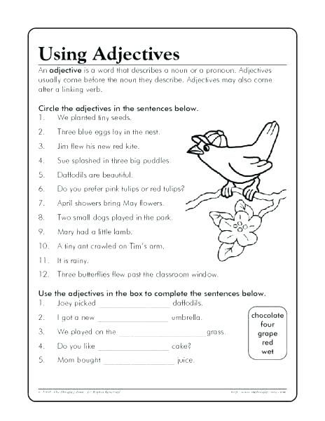 Adjectives Worksheets For Second Graders Adjective Worksheet 2nd 