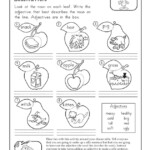 Beautiful Fruits 2nd Grade English Worksheets JumpStart