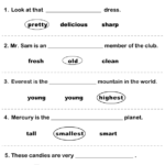 Circle The Correct Adjective Worksheet Turtle Diary