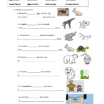 Comparative Adjectives Interactive Worksheet For 4
