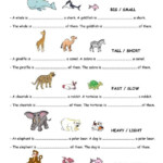 Comparison With Animal English ESL Worksheets Learning English For