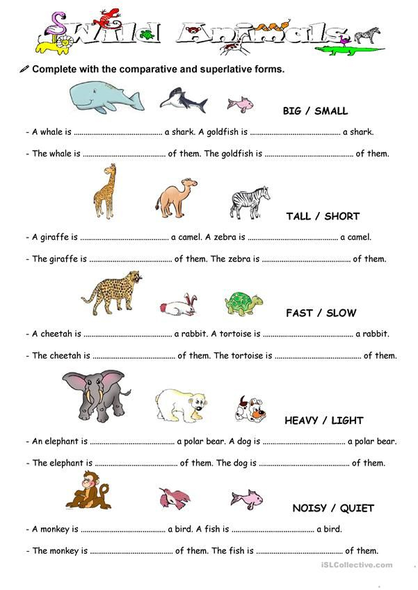 Comparison With Animal English ESL Worksheets Learning English For 