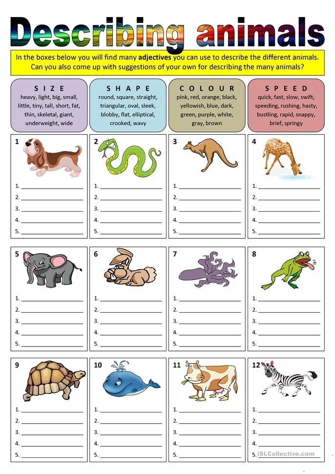 Describing Animals adjectives English Lessons For Kids English