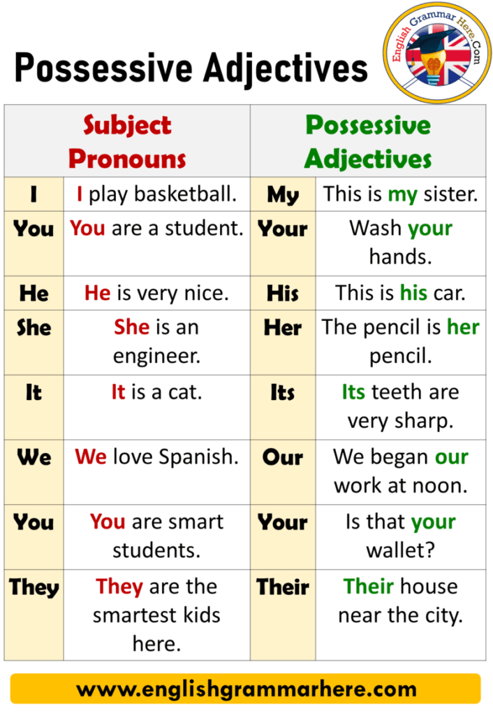 Efe Possessive Adjectives images Examples 