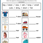 Ejercicio Interactivo De Adjectives Worksheet