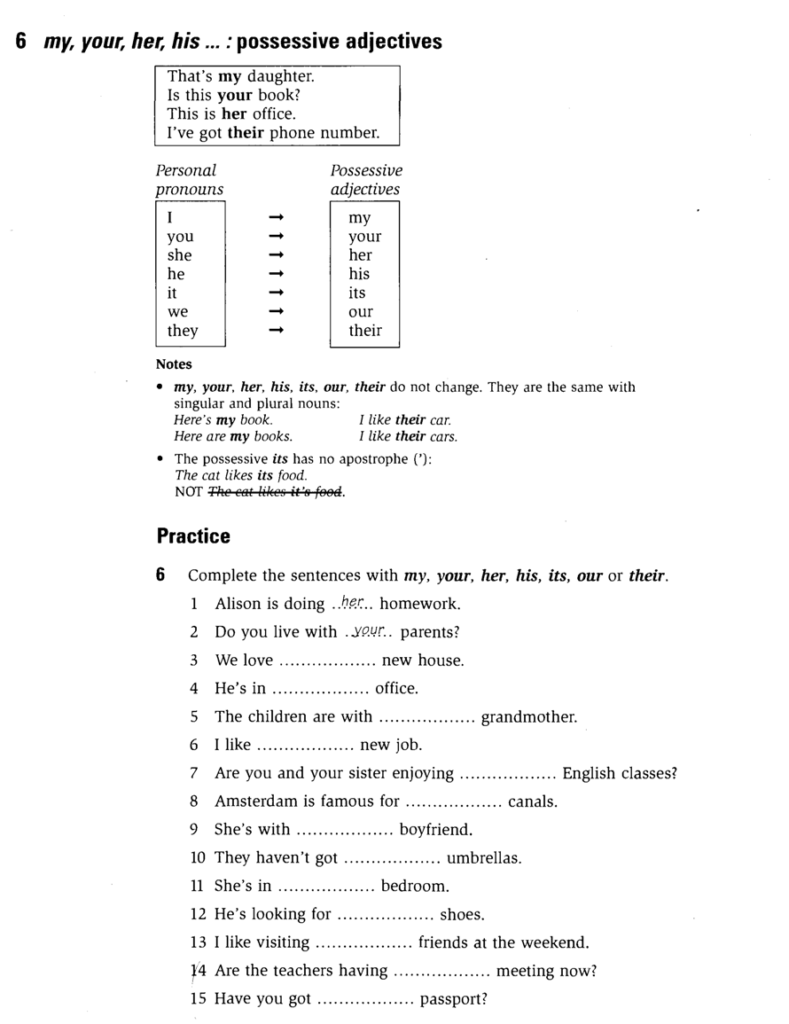 English For Primary Students Possessive Adjectives