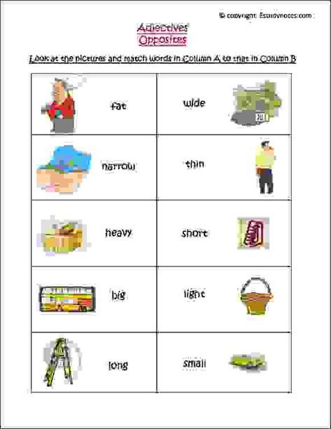 English Grammar Worksheets With Pictures To Practice Adjective 