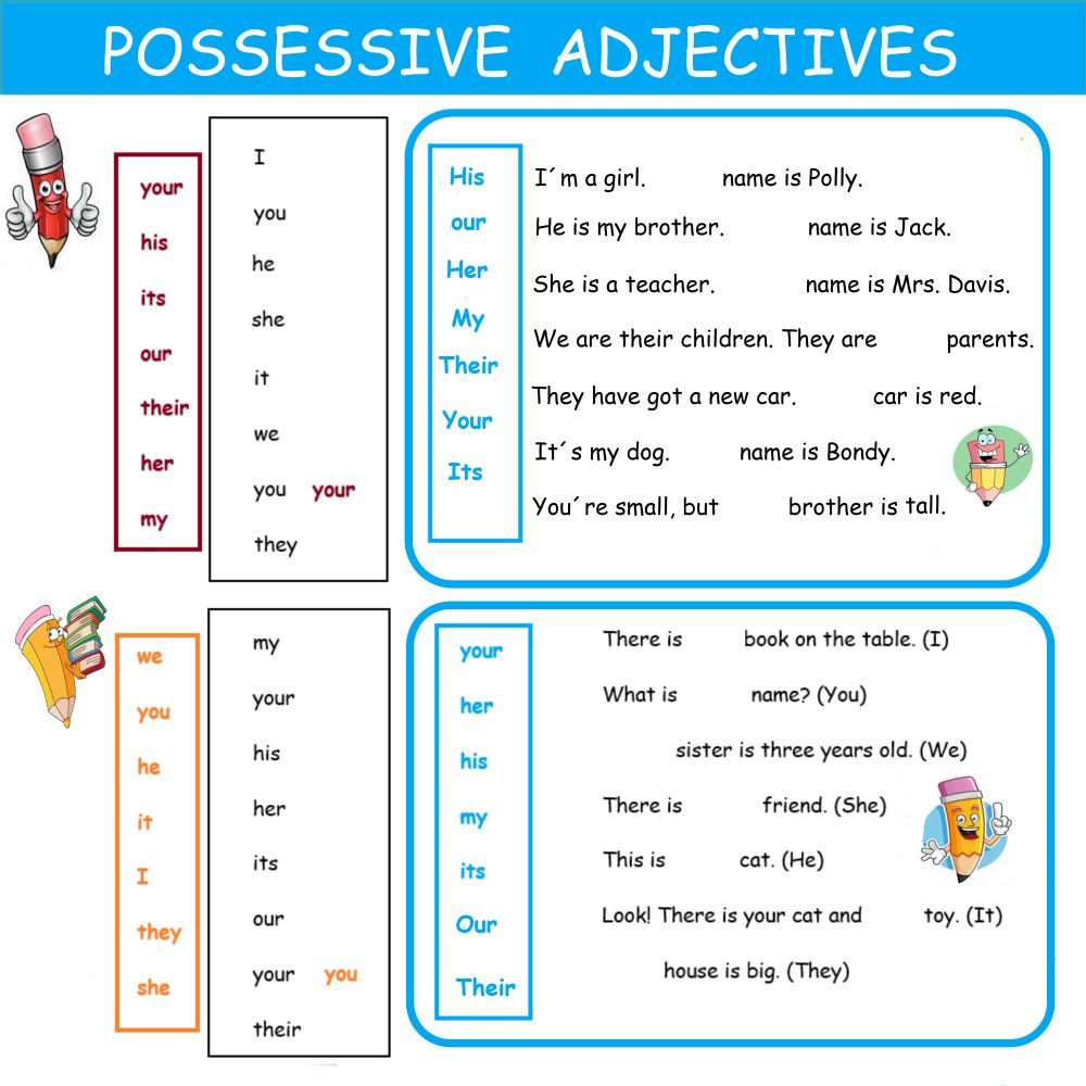 Possessive Adjectives Exercises Esl Pdf