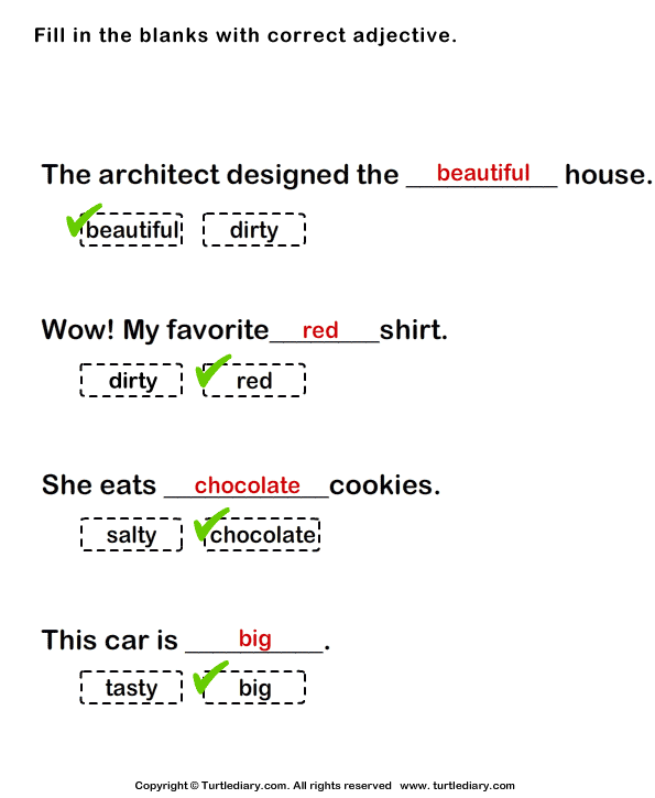 Fill Blanks With Suitable Adjective Worksheet Turtle Diary