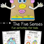 Five Senses Activities For Kids Senses Activities Senses Preschool