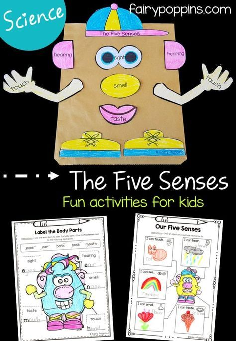 Five Senses Activities For Kids Senses Activities Senses Preschool 