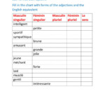 French Adjectives Forms Worksheet