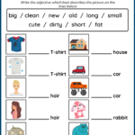 Fun Adjective Worksheets Grammar For Kids English Grammar For Kids