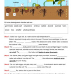 Germination Plants Worksheet In 2022 Plants Worksheets Plant