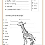 Giraffes English ESL Worksheets For Distance Learning And Physical