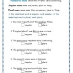 Grade 3 Grammar Topic 8 Possessive Nouns Worksheets Possessive Nouns