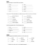 Grammar Review nouns Articles Pronouns And Adjectives Worksheet