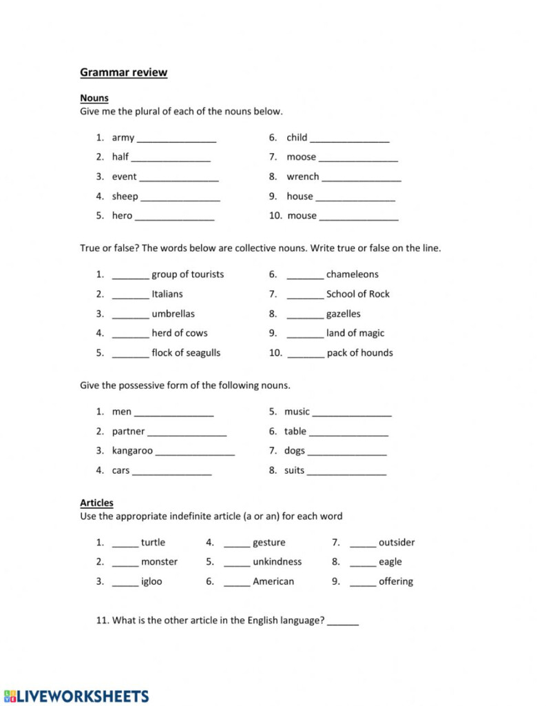 Grammar Review nouns Articles Pronouns And Adjectives Worksheet