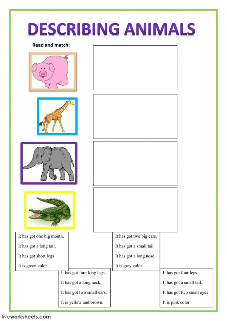 Have Got Has Got Interactive And Downloadable Worksheet You Can Do 