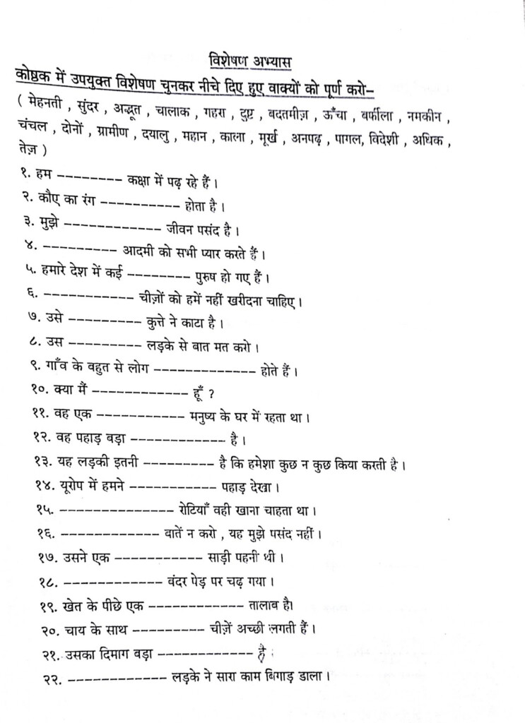 Hindi Grammar Work Sheet Collection For Classes 5 6 7 8 Adjectives 