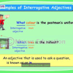 Interrogative Adjectives English Grammar Iken Ikenedu IkenApp