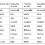 Les Adjectifs Le Cours De Fran ais