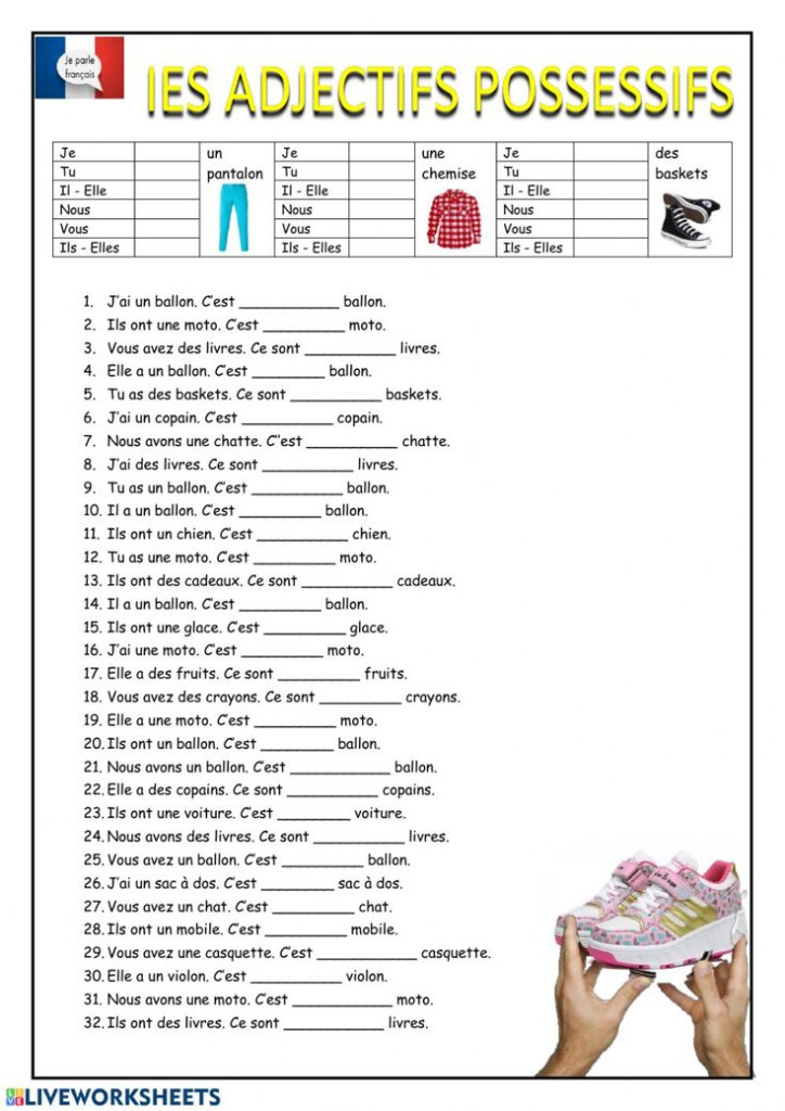 Les Adjectifs Possessifs Adjectifs Possessifs Worksheet French 