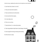 Noun Adjective Verb Worksheets