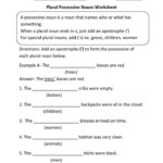 Nouns Worksheets Possessive Nouns Worksheets