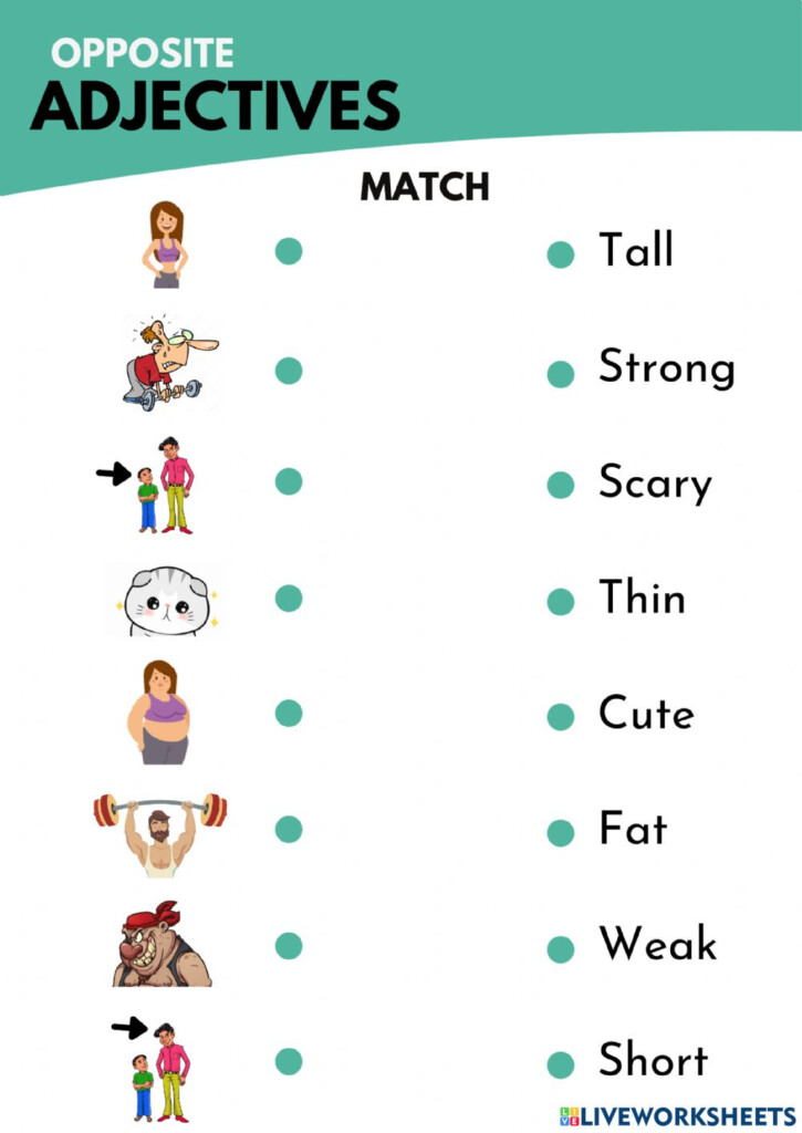 Opposite Adjectives Online Worksheet For School