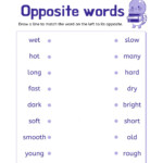 Opposite Word Worksheet