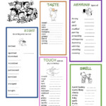 OUR 5 SENSES Teaching Adjectives Vocabulary Lessons 5 Senses Worksheet