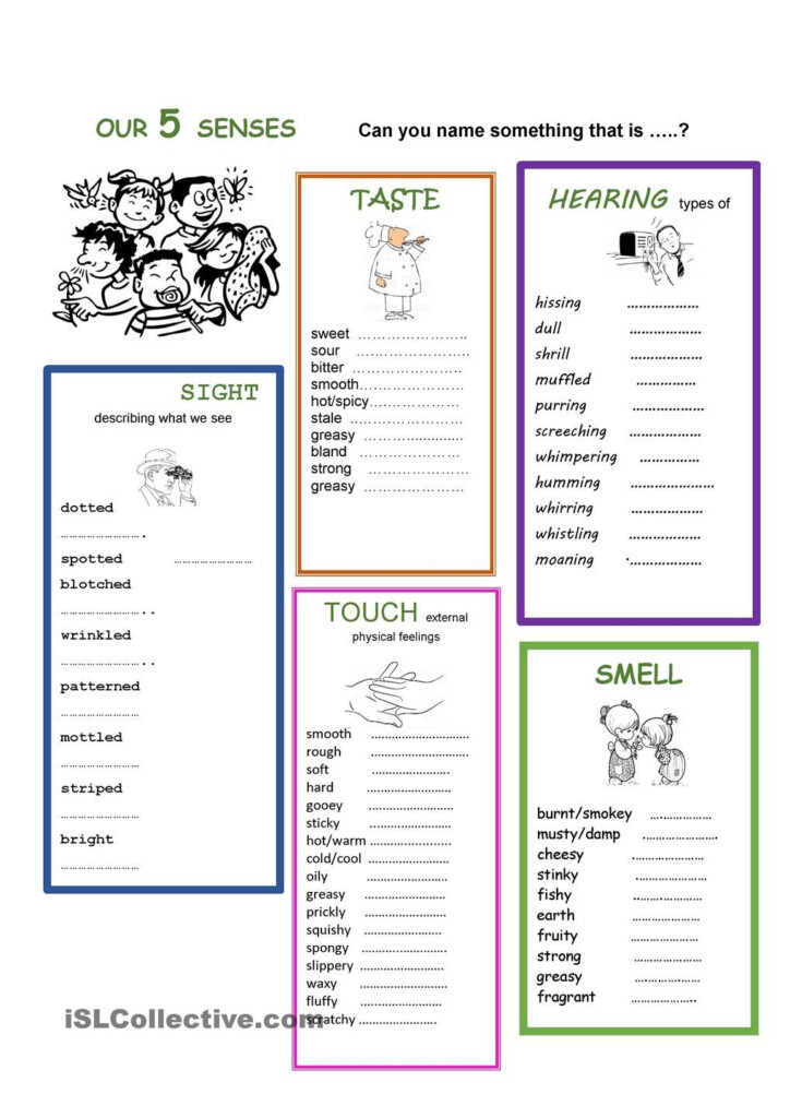 OUR 5 SENSES Teaching Adjectives Vocabulary Lessons 5 Senses Worksheet