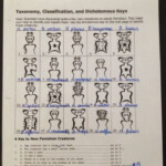 Pamishan Creature Dichotomous Answer Key JPG 2448 3264 Dichotomous