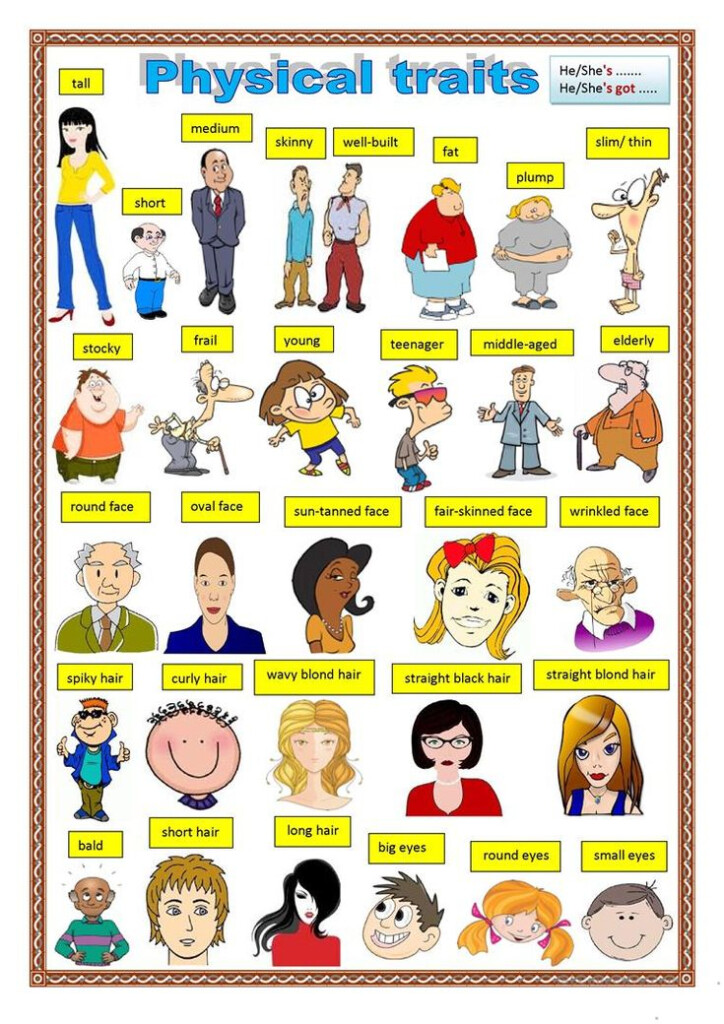 Physical Description Worksheet Free ESL Printable Worksheets Made By 