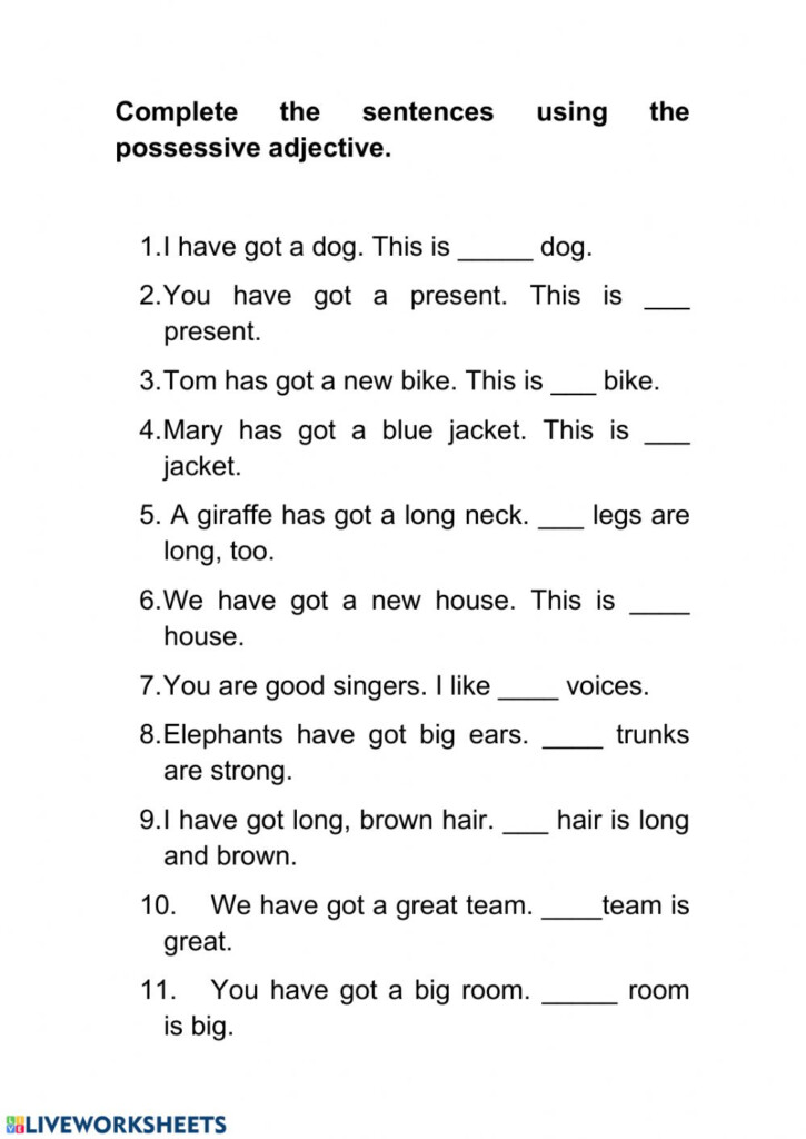 Possessive Adjectives And Pronouns Interactive Worksheet